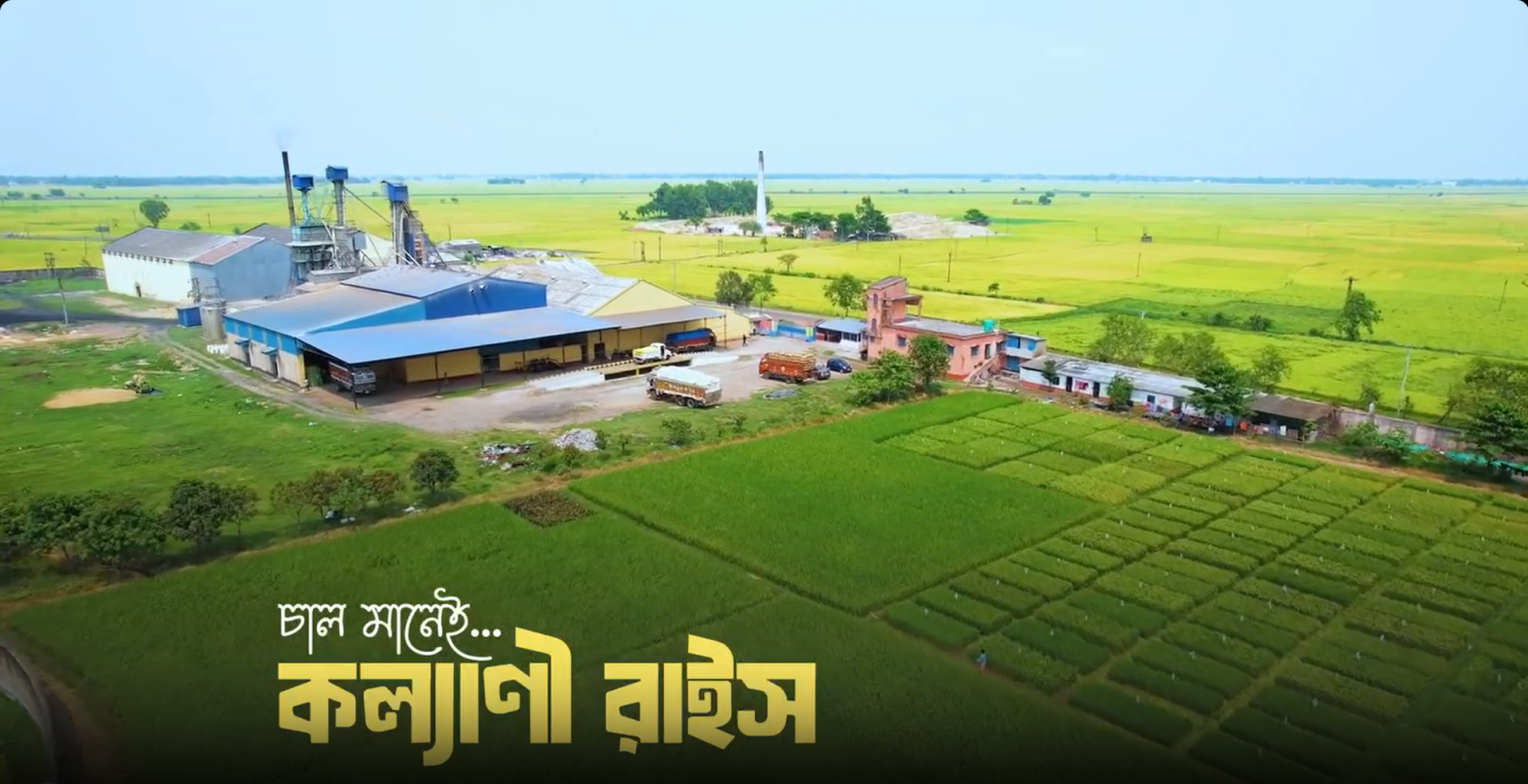 Rice Manufacturing Process